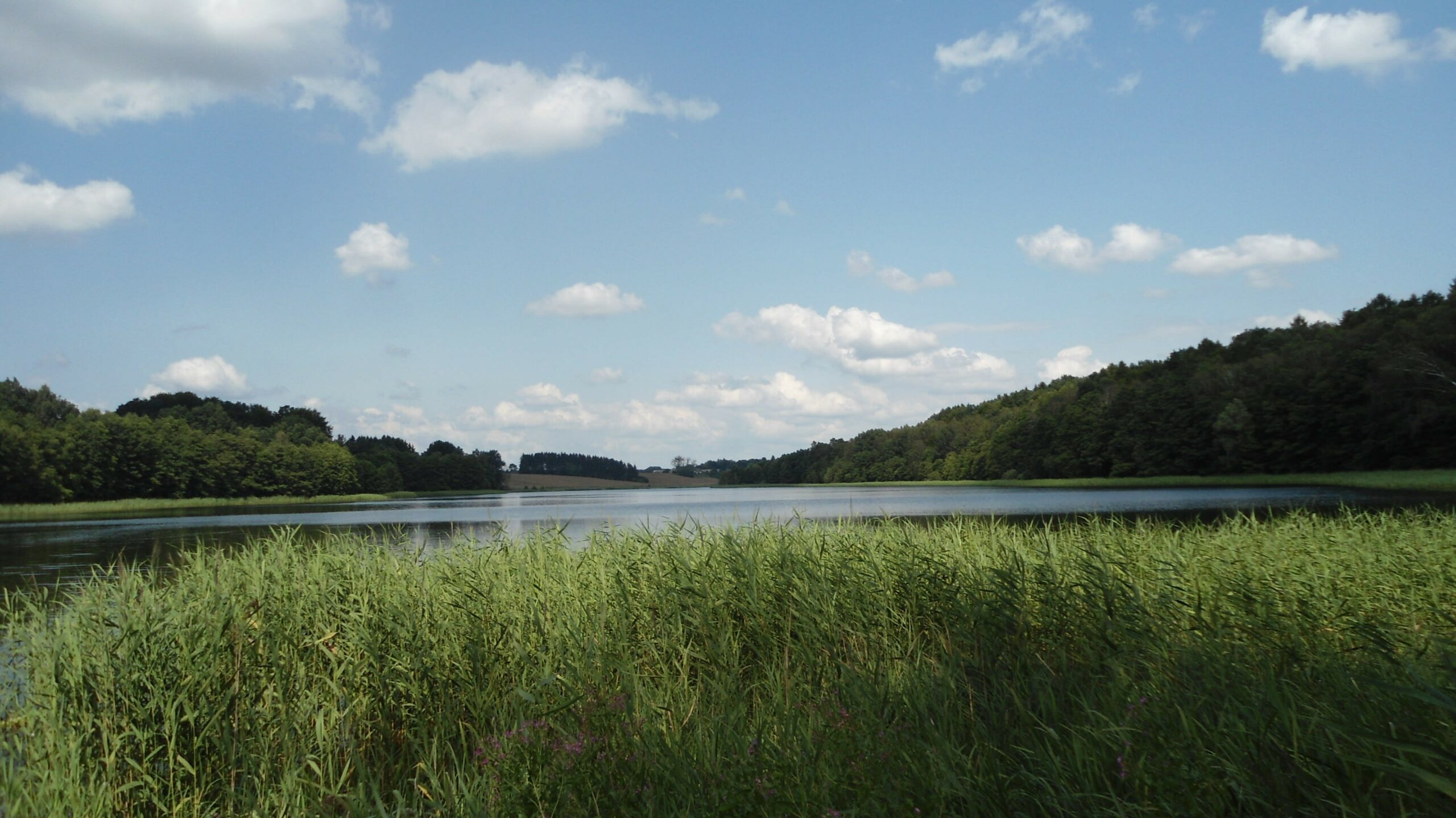 Jezioro Szczycienko
